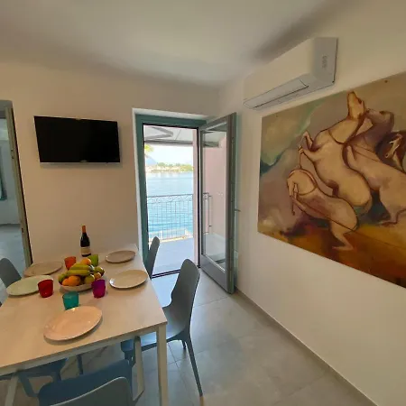 Butterfly On The Appartement