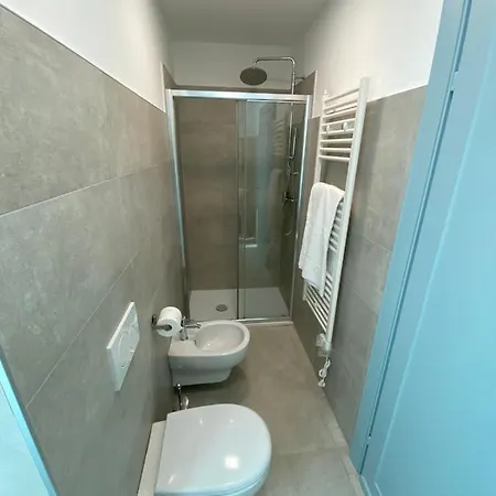 Butterfly On The Appartement